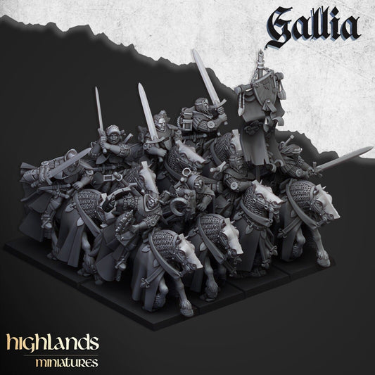 Gallia Questing Knights | Gallia Army Collection | Highland Miniatures