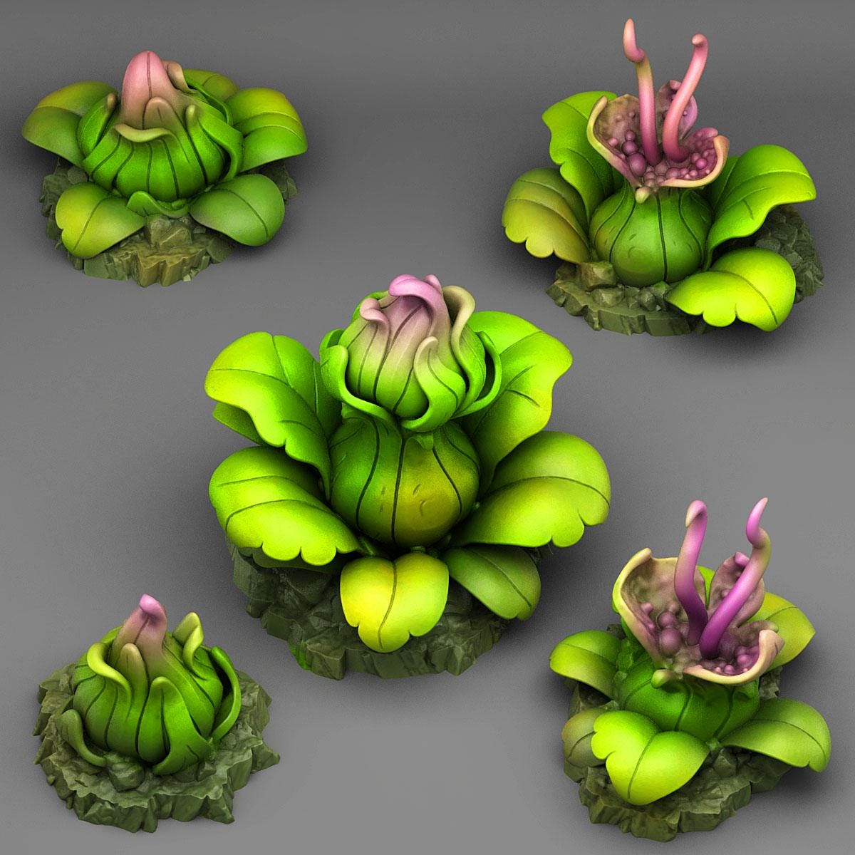 Jungle Carnivorous Plants