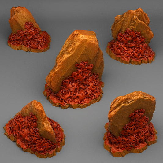 Hell Coral Rocks