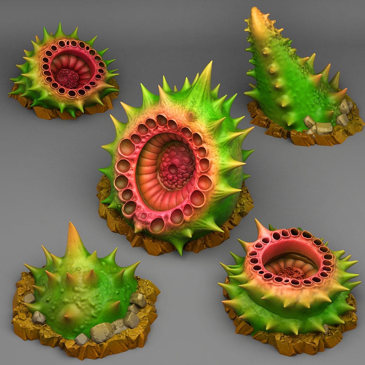Carnivorous Husk Spikes