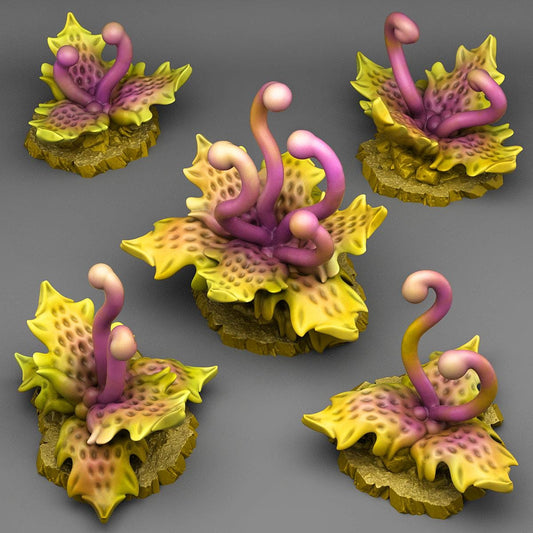 Carnivorous Tentacle Jungle Plants