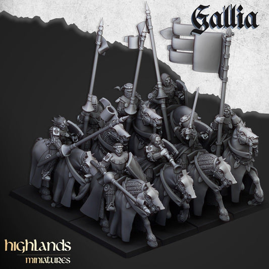 Young Knights of Gallia | Gallia Army Collection | Highland Miniatures