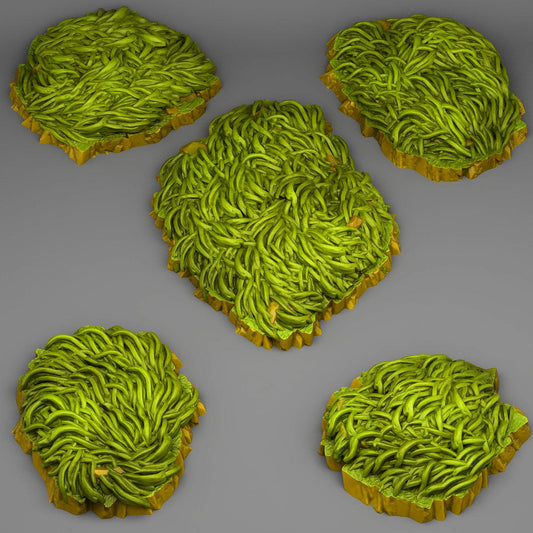 Grass from the Valley