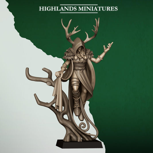 Feral Elves Druid